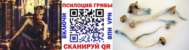 Псилоцибиновые грибы Magic Shrooms  Купить закладки  Бронницы 